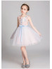 Embroidery Lace Tulle Flower Girl Dress Kid Party Dress